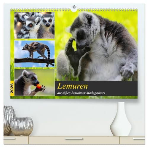 Lemuren die süßen Bewohner Madagaskars (hochwertiger Premium Wandkalender 2026 DIN A2 quer), Kunstdruck in Hochglanz: Schwarz- weiß, hat auf uns ... schließt wenn man sie sieht (CALVENDO Tiere)
