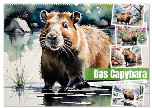 Das Capybara (Wandkalender 2026 DIN A2 quer), CALVENDO Monatskalender: Das beliebte Wasserschwein aus Südamerika (CALVENDO Tiere)