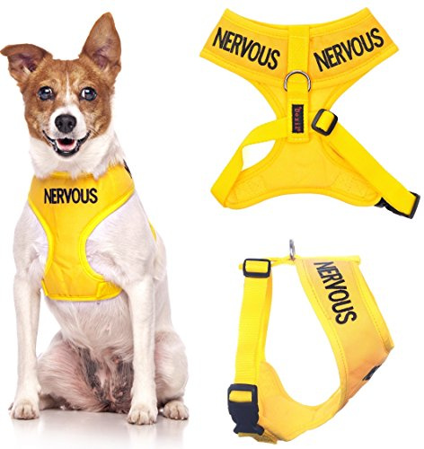 Dexil NERVOUS (Give Me Space) Yellow Colour Coded Non-Pull Front and Back D Ring Padded and Waterproof Vest Dog Harness PREVENTS Accidents By Warning Others Of Your Dog In Advance (S)