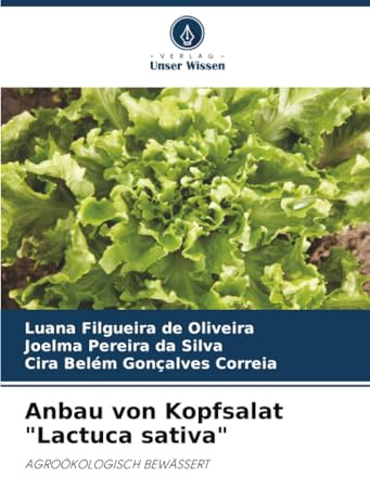 Anbau von Kopfsalat Lactuca sativa: AGROÖKOLOGISCH BEWÄSSERT