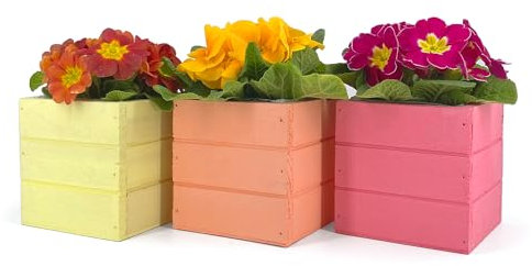 Set 3 Mini Cassette Quadrate 10x10x10 cm | Vasi per Piante Grasse con Interno in Plastica | Fioriere da Interno ed Esterno