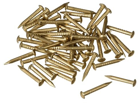 TOP-VIGOR 50Pcs Hardware Nails, 1.5mmx12mm Brass Nails and Pins Assortment, Wall Pins Tacks Nails for Woodworking, Panel Pins for Hanging Picture, Frame, Mirror, Furniture, Construction