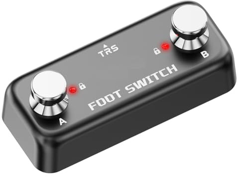 Barturry Amplifier External Foot Switch Audio DUAL SWITCH Double Switch Double Pedal Momentary Switch