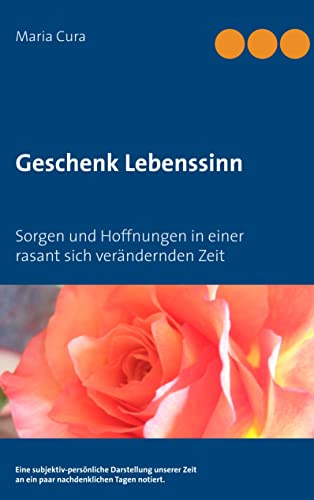 Geschenk Lebenssinn: Sorgen und Hoffnungen in einer rasant sich verändernden Zeit