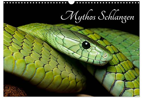 Mythos Schlangen (Wandkalender 2026 DIN A3 quer), CALVENDO Monatskalender: Die Schönheit der Schlangen. Festgehalten in eindrucksvollen Fotos. (CALVENDO Tiere)