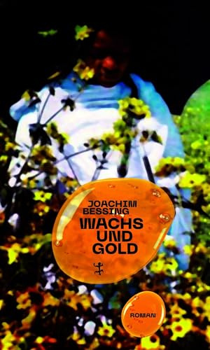 Wachs und Gold: Roman