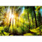 murando - Papier peint panoramique nature 400x280 cm - Revêtement mural décoration salon - Design moderne - Jaune vert gris - Lueur des arbres forêt feuilles nature soleil vert b-B-0248-a-a