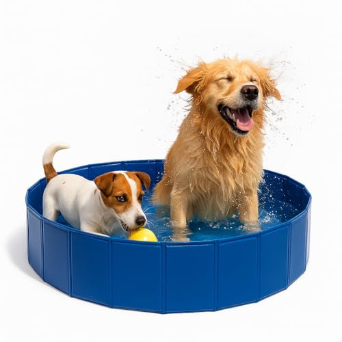 Piscina para Perros Grandes y Pequeños 80x20cm - Desmontable Rígida con Baño para Mascotas - Refrescar en el Verano