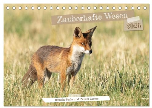 Zauberhafte Wesen - Reineke Fuchs und Meister Lampe (Tischkalender 2026 DIN A5 quer), CALVENDO Monatskalender: Zauberhafte Fotos von Fuchs und Feldhase in freier Natur. (CALVENDO Tiere)