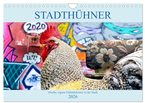 Stadthühner (Wandkalender 2026 DIN A4 quer), CALVENDO Monatskalender: Vom Land in die Stadt, diese Hühner leben städtisch in München, Berlin oder Reutlingen (CALVENDO Tiere)