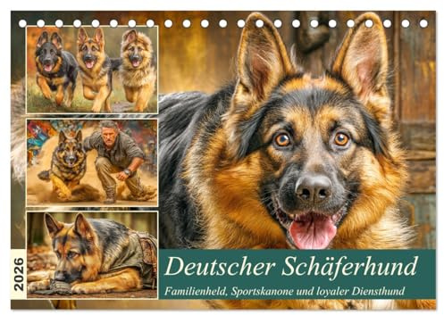 Deutscher Schäferhund. Familienheld, Sportskanone und loyaler Diensthund (Tischkalender 2026 DIN A5 quer), CALVENDO Monatskalender: Diese Bilder ... Begleiter brilliert (CALVENDO Tiere)
