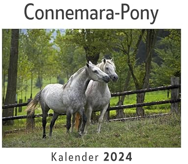 Connemara-Pony (Wandkalender 2024, Kalender DIN A4 quer, Monatskalender im Querformat mit Kalendarium, Das perfekte Geschenk)