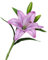 6 x künstliche Lilienblumen, künstliche Blumen, blühende Lilienblumen, dekorative Hochzeitsblumensträuße, künstliche Lilien für Familie, lila