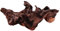 Sharplace 1 Pièce Bois Flotté pour Habitat Aquatique, Décoration d'Habitat pour Poisson, Décoration Créative de Bonsaï, 15-20 cm