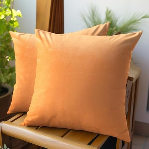 Encasa XO Kissenbezüge aus Samt - 2er-Set (50x50 cm) - Pfirsich- Uni gefärbt, weich & glatt, waschbar, quadratisch, großer Wurfkissenbezug für Couch, Sofa, Stuhl, Bett und Wohnbereich