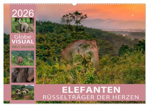 ELEFANTEN - Rüsselträger der Herzen (Wandkalender 2026 DIN A2 quer), CALVENDO Monatskalender: Asien sanfte Riesen (CALVENDO Tiere)
