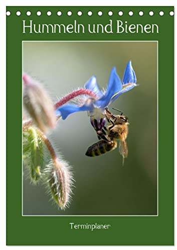 Hummeln und Bienen Terminplaner (Tischkalender 2026 DIN A5 hoch), CALVENDO Monatskalender: Terminplaner mit fleissigen Bienen, flauschigen Hummeln und bunten Blüten (CALVENDO Tiere)