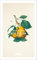DuMont Buchverlag GmbH