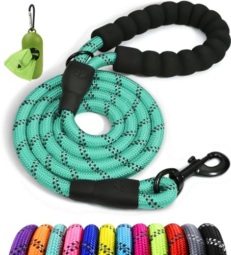 Taglory Hundeleine mit bequemen gepolsterten Griff, robuste Hundeleine zum Trainieren und Gassi gehen, 150×1.2cm Reflektierend Führleine aus weichem Nylon für große Hunde, türkis