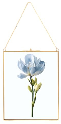 LDHHYH 20 x 25 cm Glasbilderrahmen Gold, Bilderrahmen aus Glas und Metall Hängend, Glas Bilderrahmen Gold, Bilderrahmen Glas Beidseitig Gold, Hängende Glas Fotorahmen Für Gepresste Blumen,Fotos
