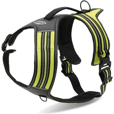 Record Hundegeschirr Action Alpi aus Geflochtenes Nylon Mit 3M ScotchLite Reflektierende Bänder | Farbe Gelb, Größe L, Umfang 70-95 cm