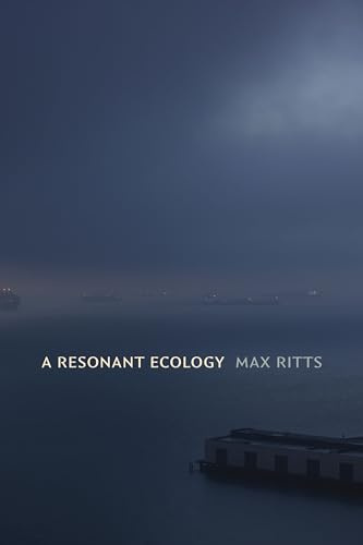 A Resonant Ecology (Sign, Storage, Transmission)
