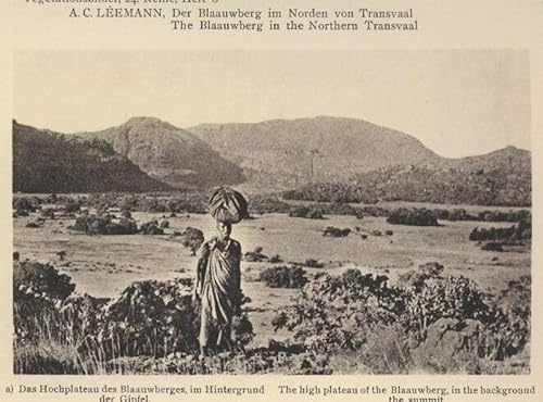 Der Blaauwberg im Norden von Transvaal