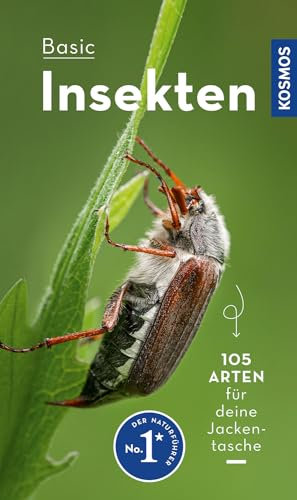 BASIC Insekten: 106 Arten einfach und sicher erkennen - In drei Schritten zur richtigen Art (Kosmos-Naturführer Basics)