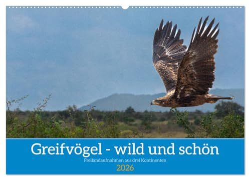 Greifvögel - wild und schön (Wandkalender 2026 DIN A2 quer), CALVENDO Monatskalender: Greifvögel in ihrer natürlichen Umgebung (CALVENDO Natur)