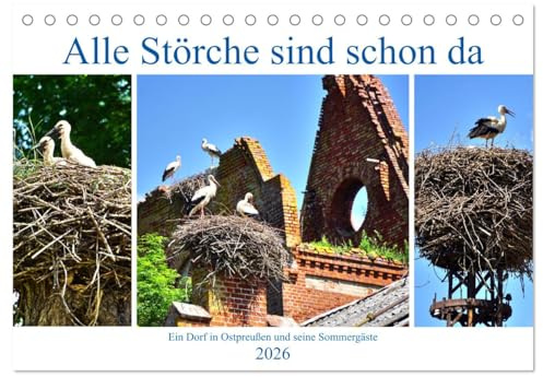 Alle Störche sind schon da - Ein Dorf in Ostpreußen und seine Sommergäste (Tischkalender 2026 DIN A5 quer), CALVENDO Monatskalender: Störche und ... im früheren Kraupischken (CALVENDO Tiere)