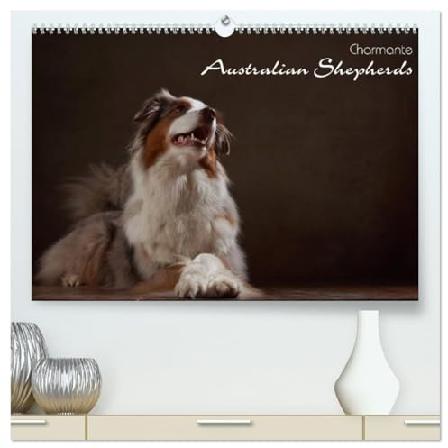 Charmante Australian Shepherds (hochwertiger Premium Wandkalender 2026 DIN A2 quer), Kunstdruck in Hochglanz: Australian Shepherds im Portrait (CALVENDO Tiere)