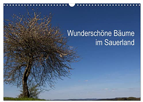 Wunderschöne Bäume im Sauerland (Wandkalender 2026 DIN A3 quer), CALVENDO Monatskalender: Beeindruckende Bäume in wundervoller Landschaft. (CALVENDO Natur)