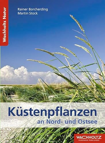 Küstenpflanzen an Nord- und Ostsee