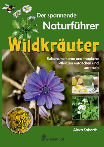 Der spannende Naturführer Wildkräuter: essbare, heilsame und magische Pflanzen entdecken und sammeln