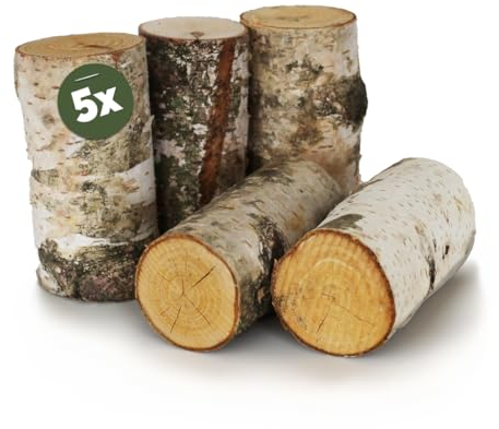 Birkenstamm Bastelholz Ø 5 x 10 cm als Holz-Deko und Bastelmaterial - 5 Stk. Birke Naturmaterial Holz-Stämmchen als große Holzstäbe - Stehende Birken-Stämmchen für Wohnung Garten Basteln