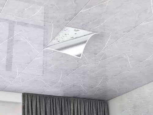 Panneaux de plafond de rechange, dalles de plafond en PVC de 2,8 mm d'épaisseur pour salle de bain, douche, idéal pour la maison, le bureau et le revêtement mural