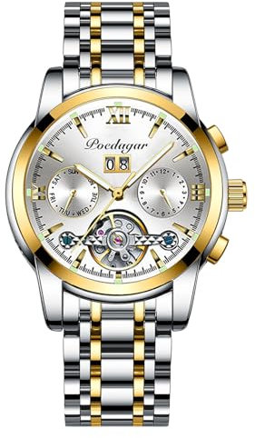 rorios Herrenuhren Automatik Mechanische Uhr mit Edelstahlband Klassisches Leuchtende Uhr Wasserdicht Armbanduhr Uhr für Männer