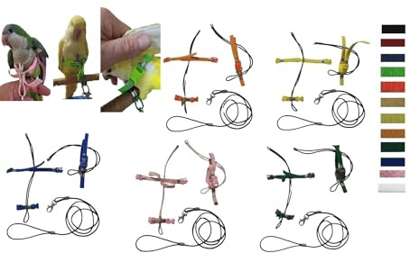 Bruststück für Sittich Mönch Elastisches Band Schwarz 10 mm 2 Befestigungen, Kunststoff abnehmbar verstellbar mit Leine 1 Meter Kordel 3 mm x Papagei alle Rassen und Größen + 1 Schlüsselanhänger