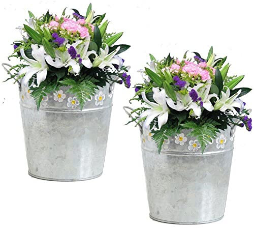 Casiler Macetas De Cubo De Metal Rústico con Asas, 2 Pcs Suculentas De Granja Macetas De Flores Vintage Cubo De Flores para Decoración del Jardín
