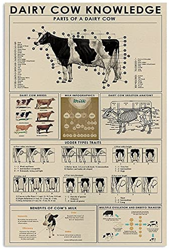 Metal Vintage Placa Conocimiento De La Vaca Lechera Partes De Una Vaca Lechera Cartel De Metal Aluminio Letrero De Estaño Para Decoración, Cocina, Oficina 30x40cm