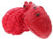Abaodam 2pcs Halloween Human Props Realistic Fake Organs for Spooky Decorations for Halloween Parties and Themed Events