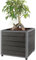 QMBasic Set Pflanzkübel + Einsatz Cube S Grau Anthrazit WPC Alu Rahmen eckig Übertopf rechteckig Blumentopf 26 x 26 cm