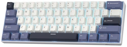 RK ROYAL KLUDGE RK61 60% Clavier mécanique sans, Format Mini Portable | 61 touches Triple mode BT5.0/2.4G/USB-C Clavier compact, PBT, logiciel Pro, commutateurs personnalisés échangeables chaud