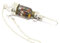 Jet International Mischen Sie Chakra Flasche geformt Pendel Wasser Fläschchen Top Qualität A ++ Kristalltherapie Broschüre Edelstein Chakra Ausgleich Heilungsenergie Göttliches spirituelles Bild ist
