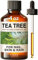 KUKKA essential oils 100% Pure & Natural Tea Tree Oil for Skin, Hair, Toenails, Aromatherapy, & Soap Making Scent (4 fl oz/118 ml)