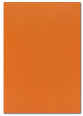 FarbenFroh - Lot de 100 cartes de bricolage - Format A4 - Terre cuite (orange) - 225 g/m² - 21 x 29,7 cm - Papier de couleur - Carton photo de couleur