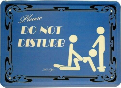 WOGEKA ART Retro Blechschild - Please Do Not Disturb - Türschild - witziger Spruch als Geschenk-Idee zum Geburtstag Weihnachten zur Dekoration 15x21 cm Vintage-Design Metall MJ 20