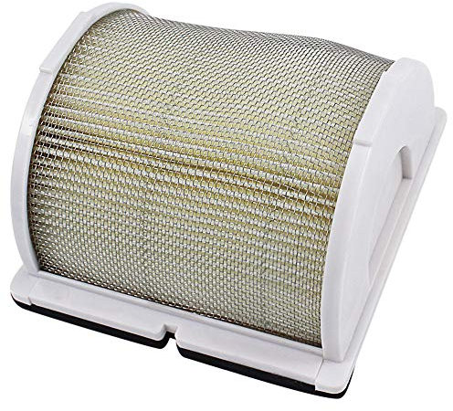 Filtro Aria per Yamaha XP500 T-MAX 500 2005-2007 GTS1000 1993-1998
