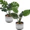 Artificial Plants in Boho Style Ceramic Pot, 2 Packs of 7 Tall Faux Potted Plants in Pot with Monstera and Palm Trees, Small Fake Plants with Pot for Indoor Home Office Bathroom Table Desk Decor