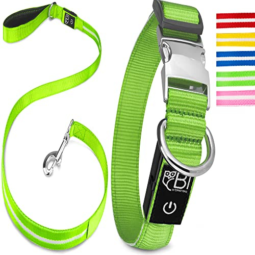 Leuchthalsband & Leuchtleine für Hunde [Das Original] Leuchtendes LED Hundehalsband zum spazieren gehen im Dunkeln Lange Akkulaufzeit Sicher Dank hochwertigem Metallverschluss (Grün, XS (24-35 cm))